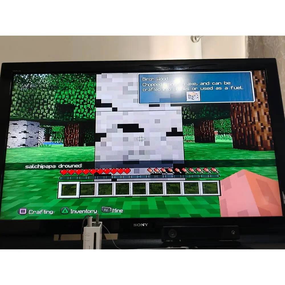 Minecraft PlayStation 3 Edition Case+Disc